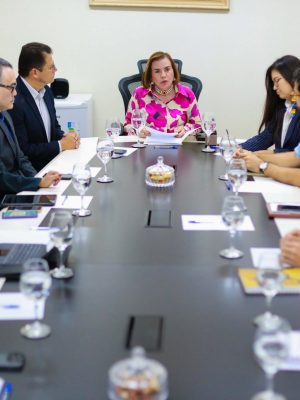 O Governo do Amazonas, por meio da Secretaria de Desenvolvimento Urbano e Metropolitano (Sedurb), firmou nesta quarta-feira (23/04) uma parceria com o Tribunal de Contas do Estado (TCE-AM). O objetivo é apoiar os municípios do interior no processo de adesão ao Selo Unicef, na edição 2025-2028, para fortalecer as políticas públicas voltadas para crianças e adolescentes.